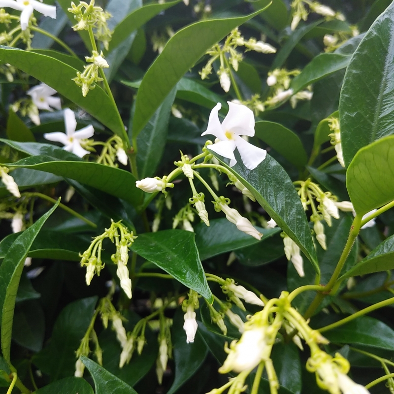 おはようございます(´V`)♪