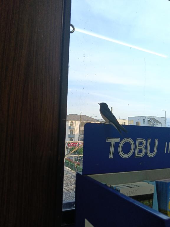 ありがとう?
