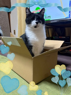 ありがとうございました