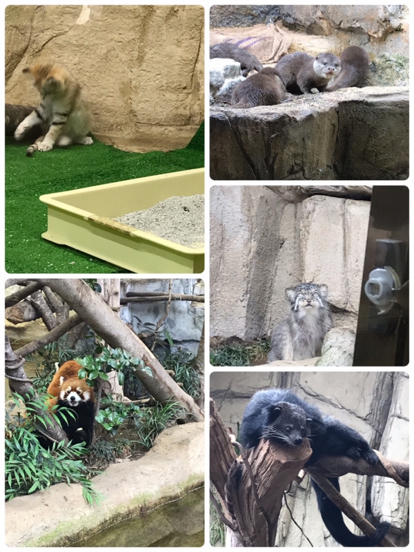 那須どうぶつ王国