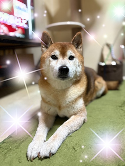 ありがとうございました