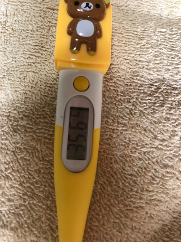 おはようございます