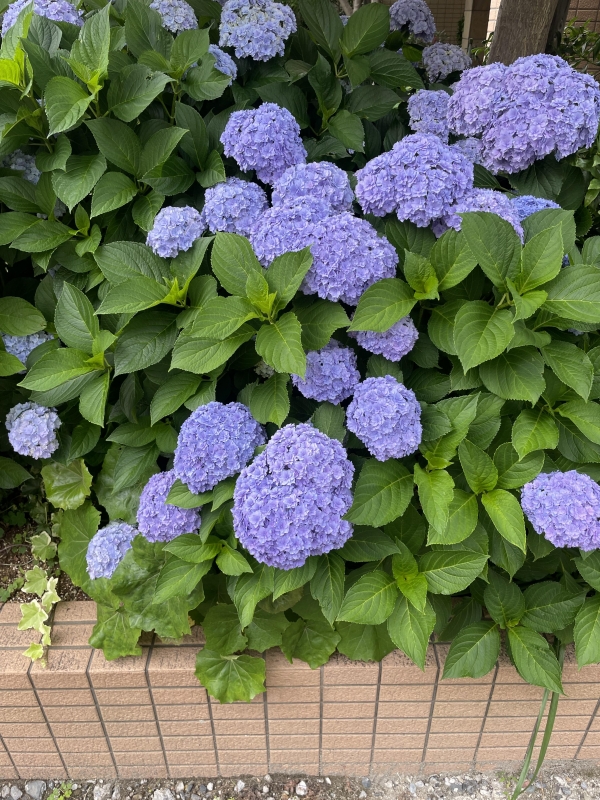 明日のご予約☆