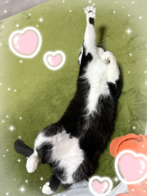 ありがとうございました