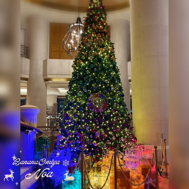 おはようございます☀️