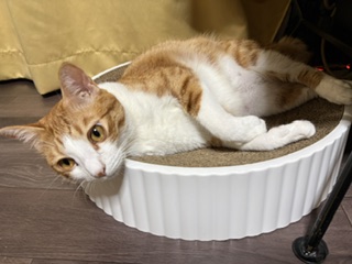 1枚目