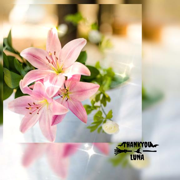 なんとも心地よく?