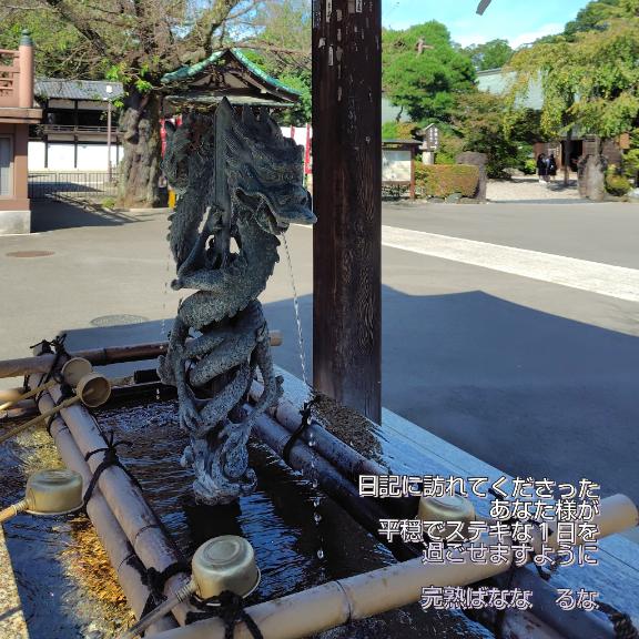 降り注ぎますように?