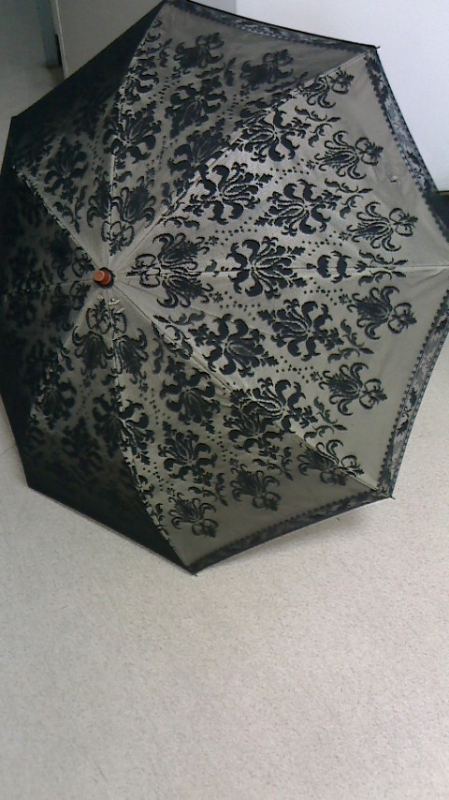 お気に入り 日傘