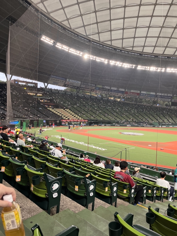 今日はここから