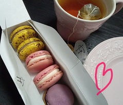 出勤しました(´V`)♪