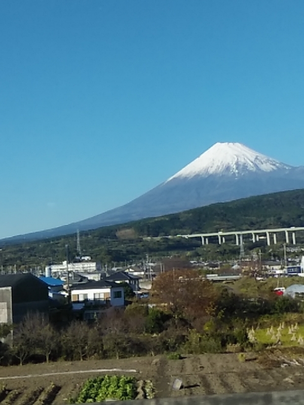 おはようございます♪