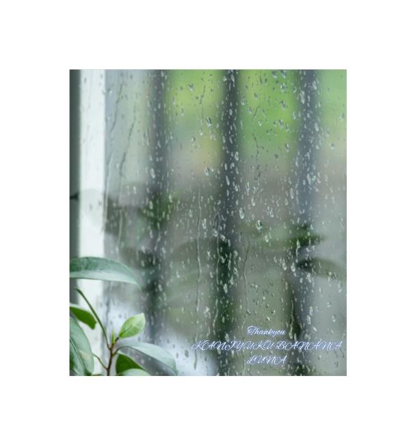 雨音もステキなBGM