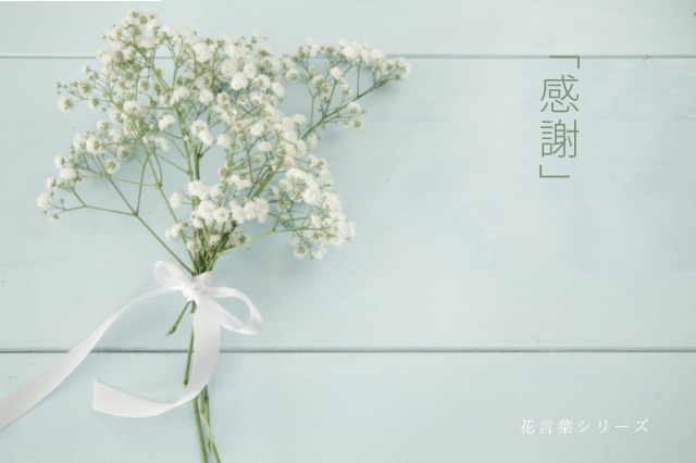 ありがとうございました☆