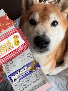 ありがとうございました