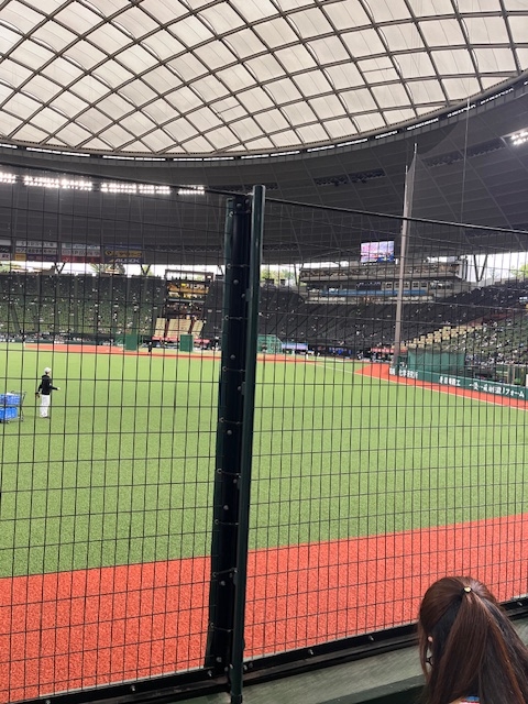 今夜はナイター⚾️