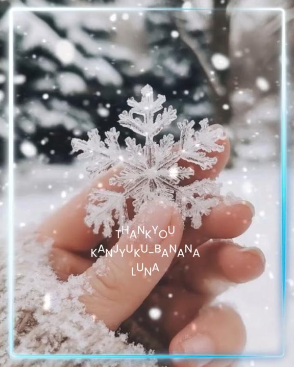 雪の日のご縁に心からの感謝を込めて?