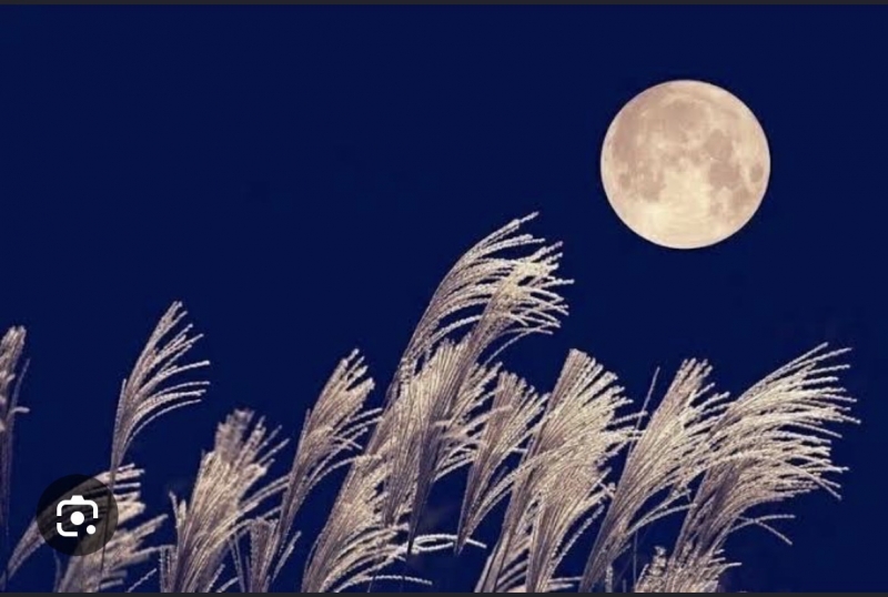 1枚目