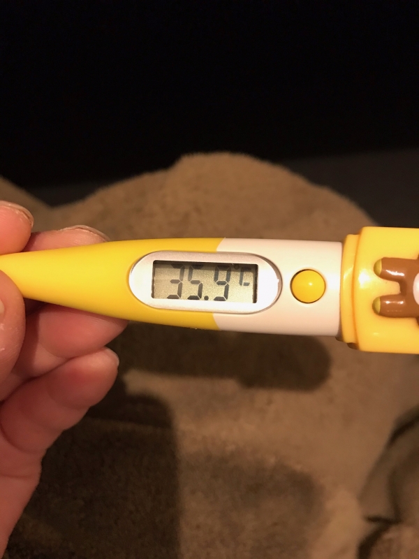 おはようございます