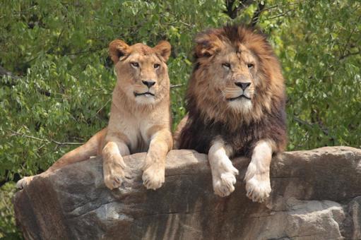 おはようございます♪