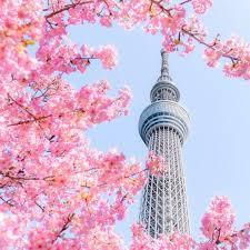 1枚目