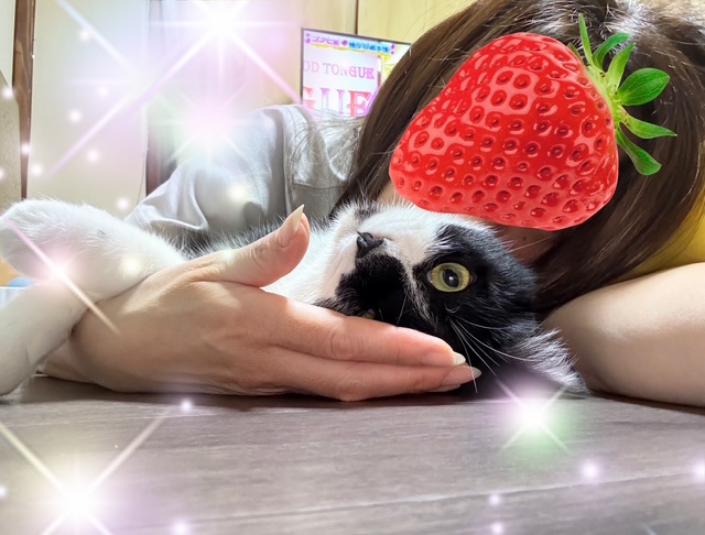 ありがとうございました