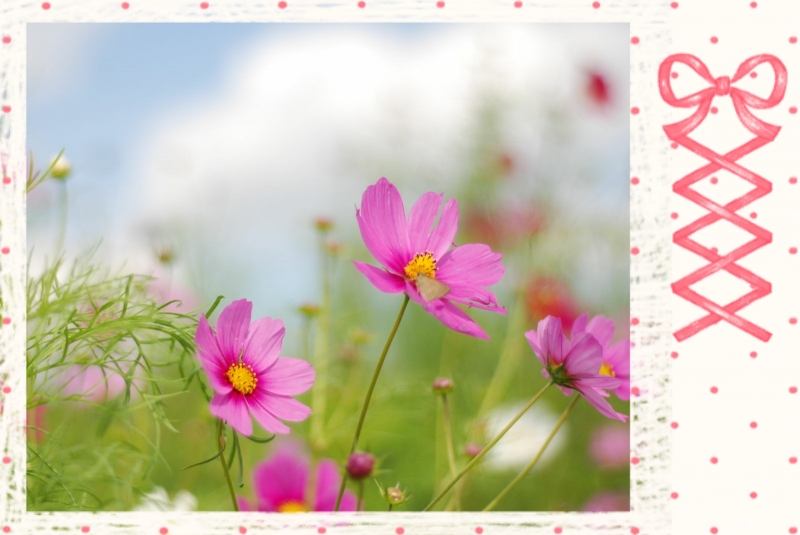 こんにちは♪〜(´ε｀ )