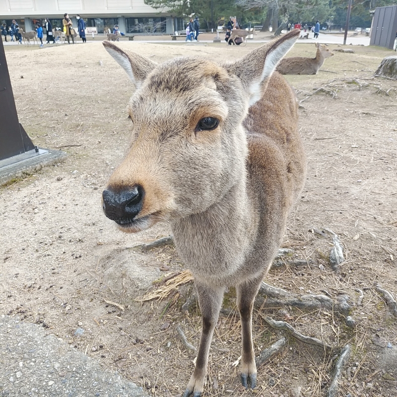 おはようございます♪