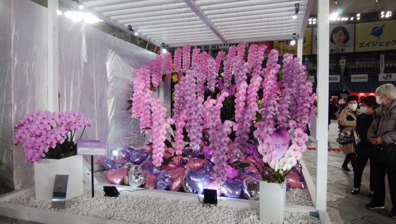 休日で、お出かけでした