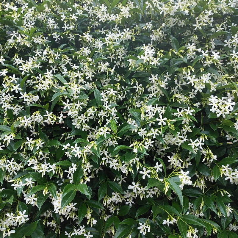 おはようございます♪