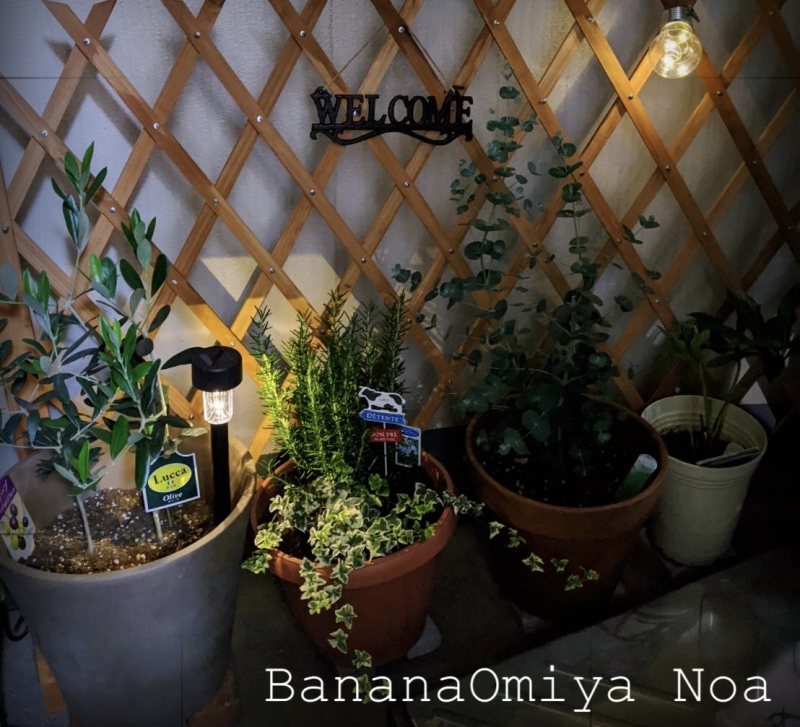 おはようございます☀️