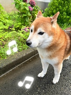 こんばんは