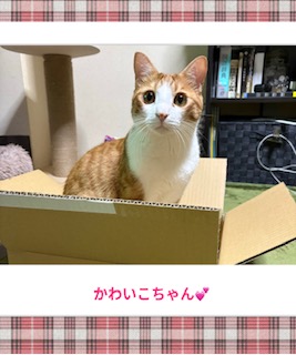 ありがとうございました