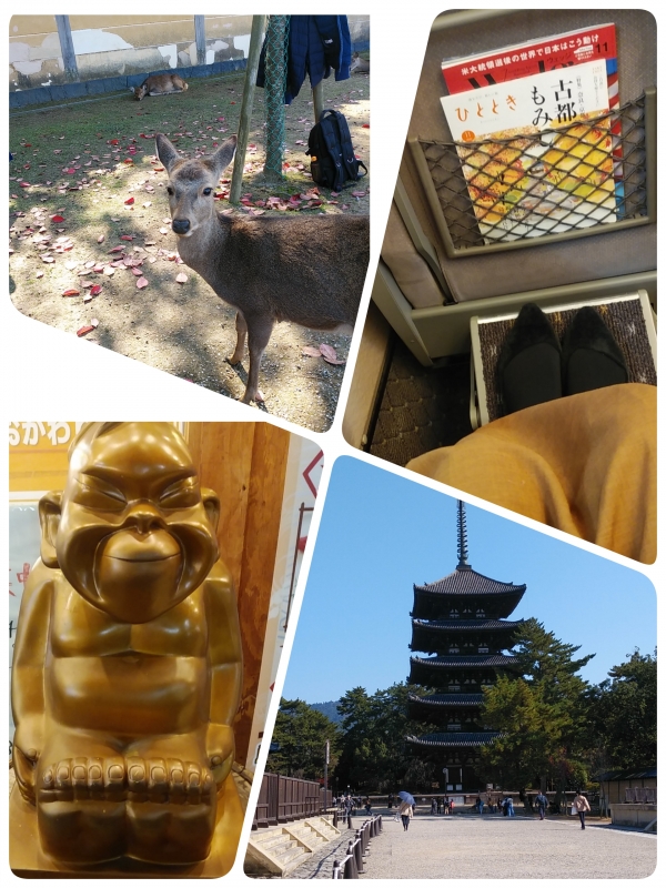 こんにちは(^^)♪