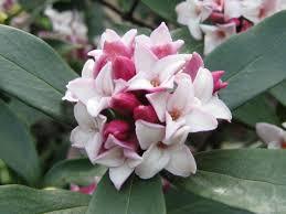 こんにちは〜(^^)