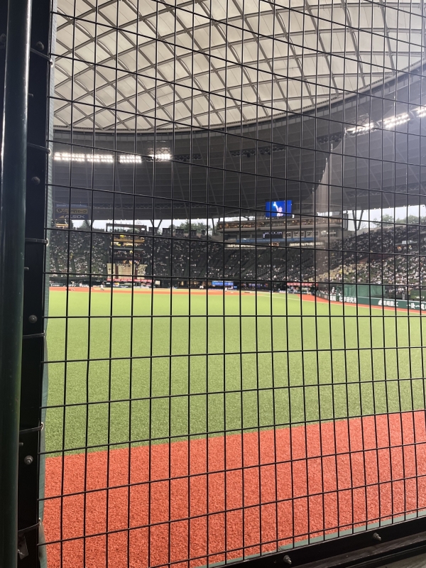 今日はここから