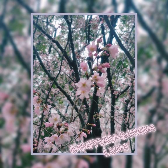 精一杯背伸びした朝