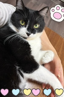 ありがとうございました