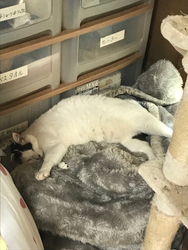 おはようございます