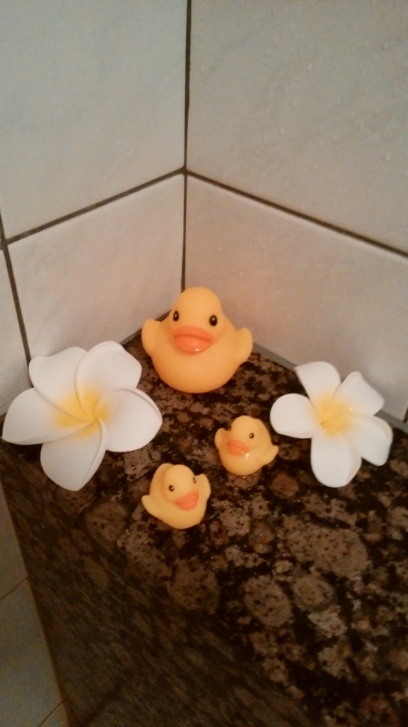 おはようございます♪