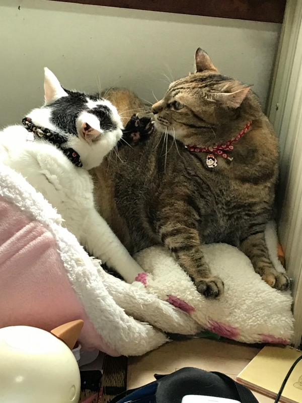 出勤しました❤️