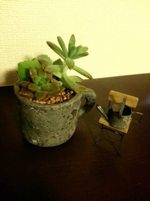 有難う御座いました