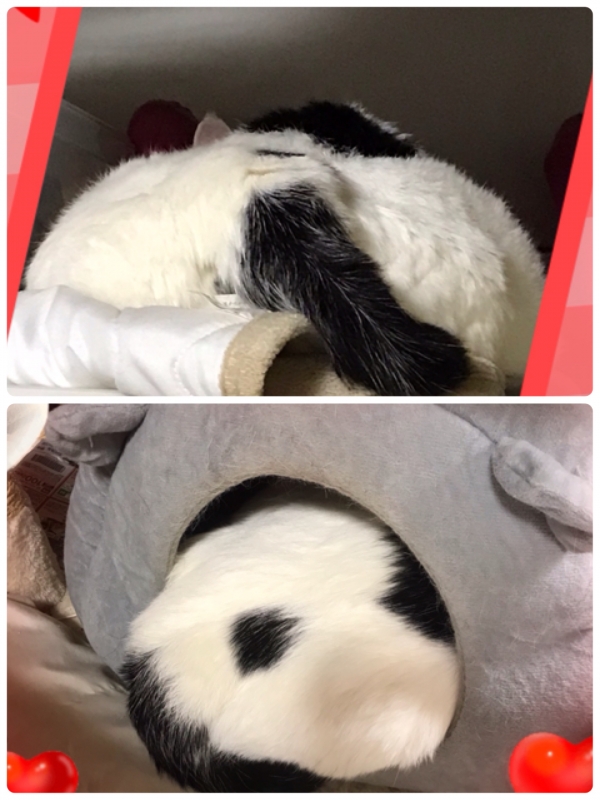 出勤してます❤️