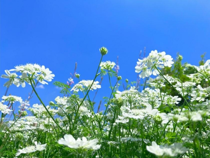 出勤しました☆