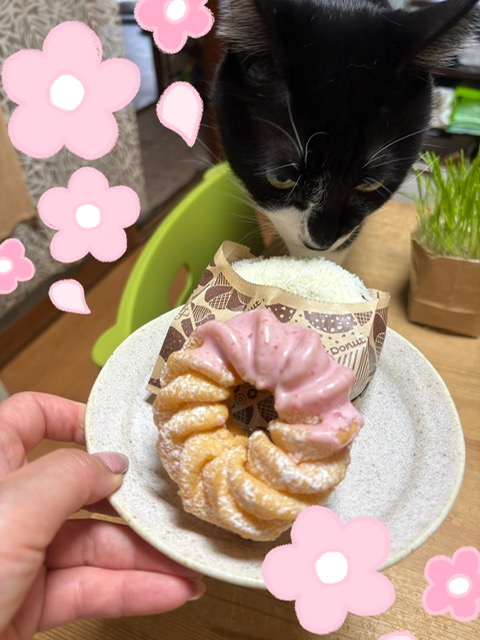 ありがとうございました