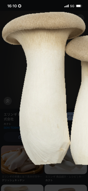 1枚目