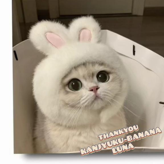 なでなで?もふもふ