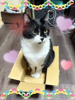 1枚目